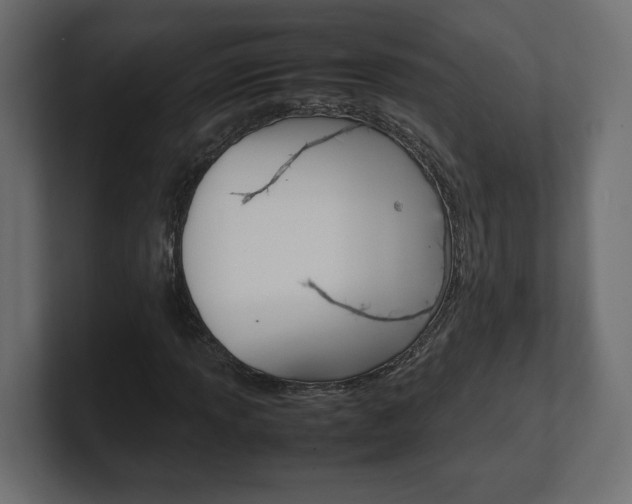 X0000101221013200806270920
