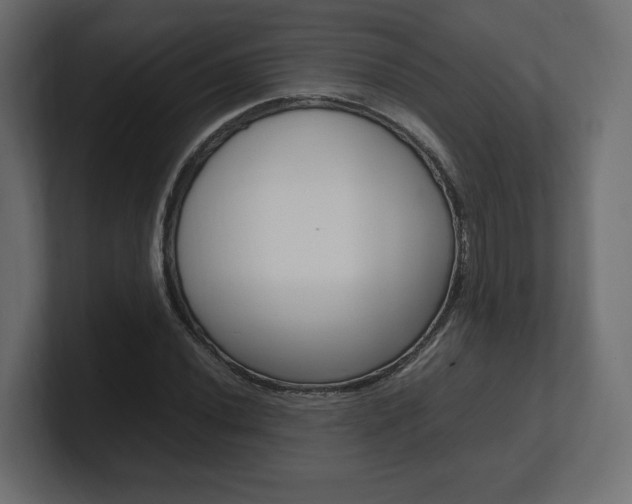 X0000101221020200806270920