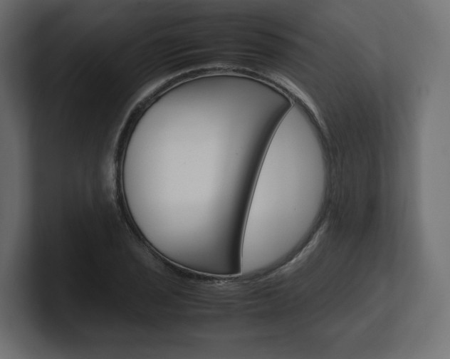 X0000101221029200806270920