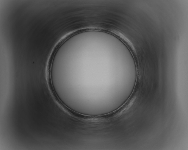 X0000101221037200806270920