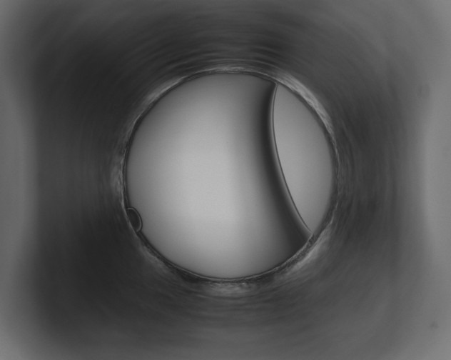 X0000101221049200806270920