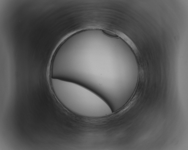 X0000101221052200806270920