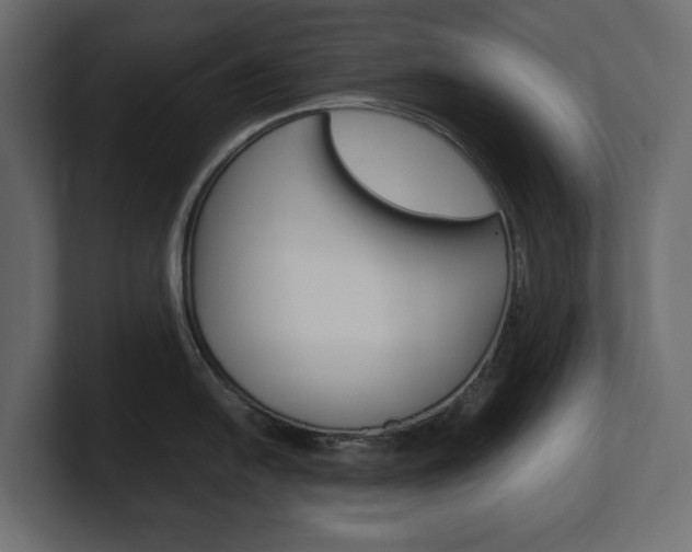 X0000101221054200806270920