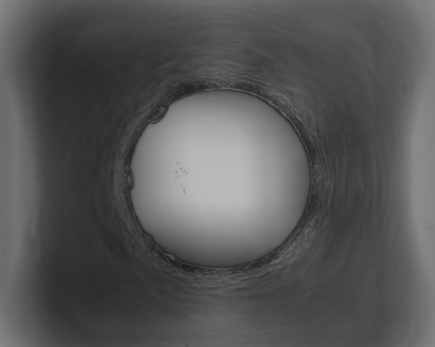 X0000101221057200806270920