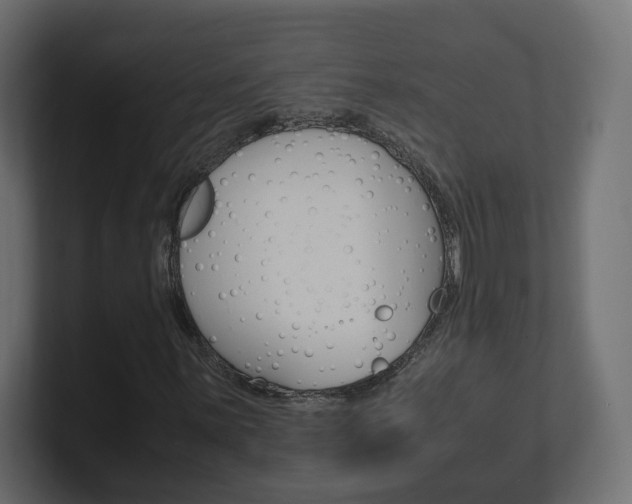 X0000101221059200806270920