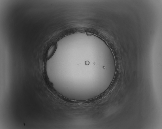 X0000101221061200806270920