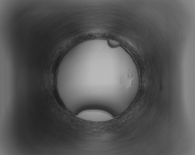 X0000101221062200806270920