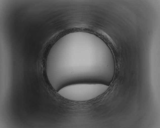 X0000101221064200806270920