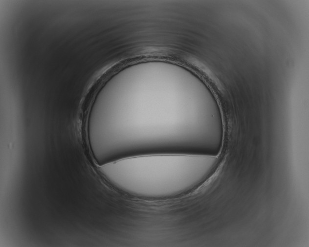 X0000101221066200806270920