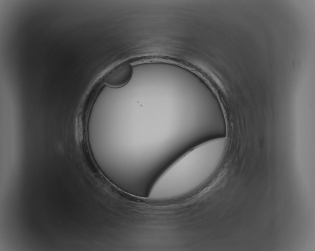 X0000101221069200806270920