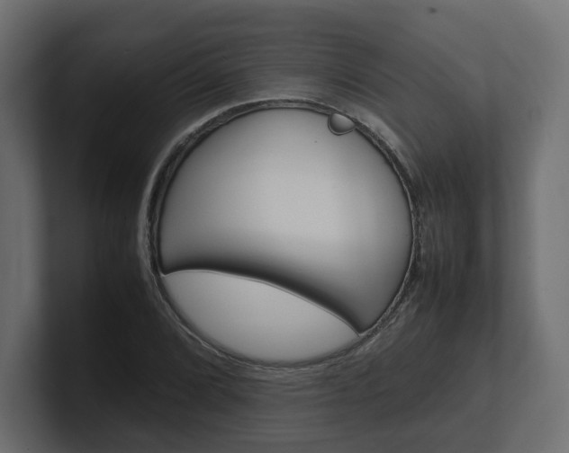 X0000101221072200806270920