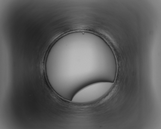 X0000101221073200806270920