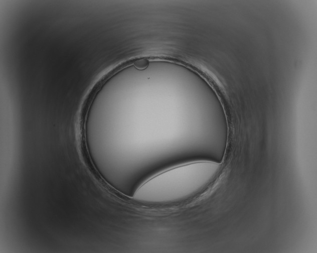 X0000101221077200806270920