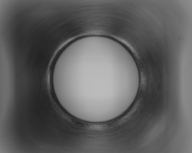 X0000101221078200806270920