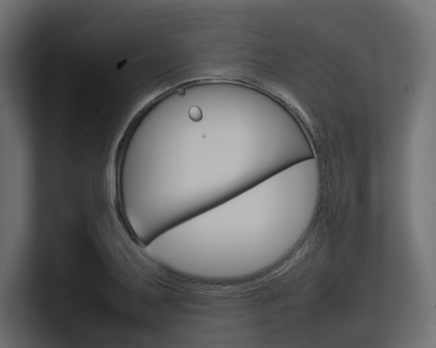X0000101221079200806270920