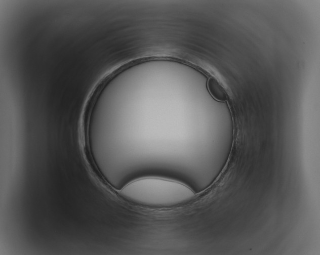 X0000101221080200806270920