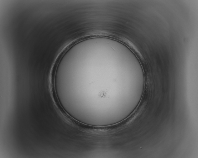 X0000101221082200806270919