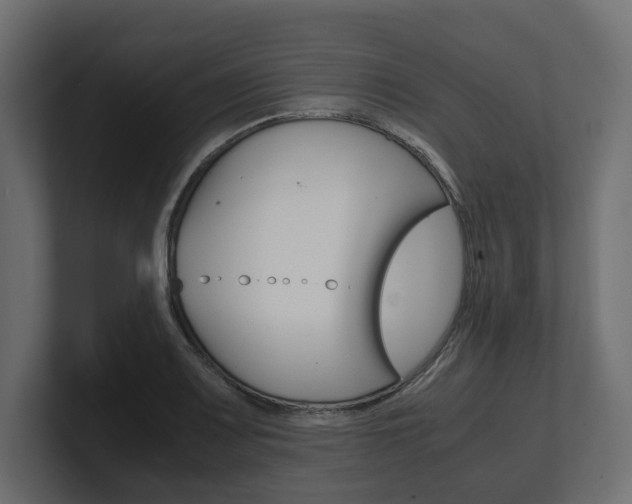X0000101221083200806270919