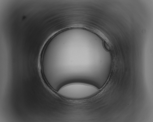 X0000101221084200806270919