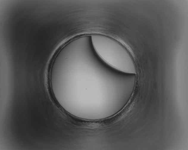 X0000101221085200806270919