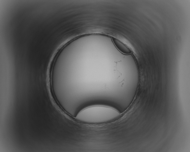 X0000101221088200806270919