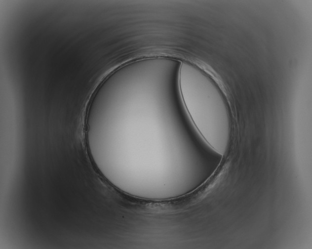 X0000101221089200806270919