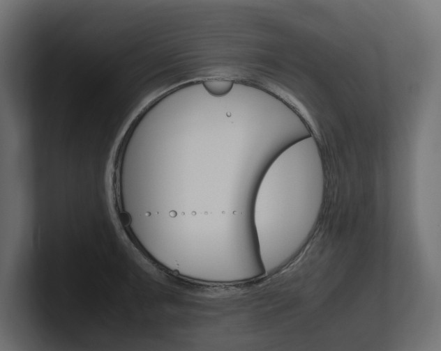 X0000101221091200806270919