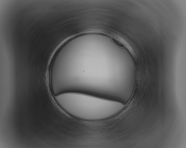 X0000101221092200806270919