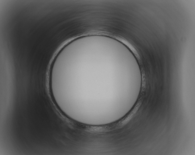X0000101221094200806270919