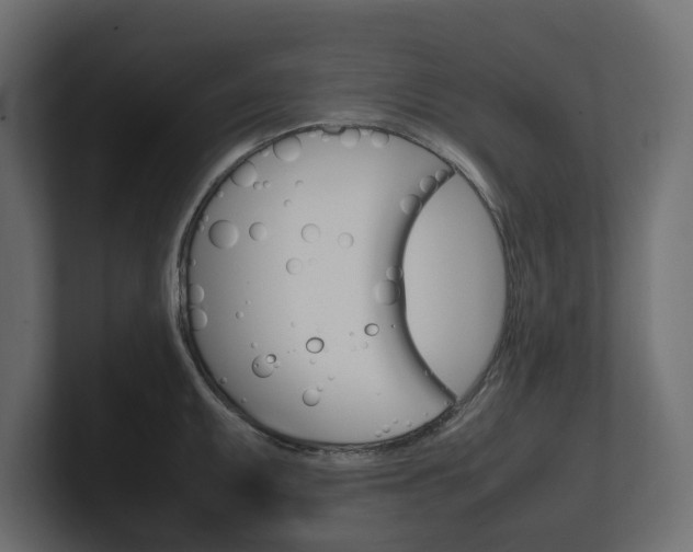 X0000101221095200806270919