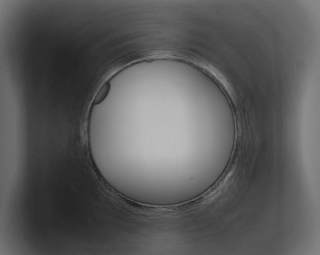 X0000101221097200806270919