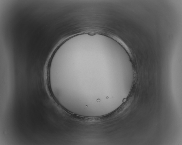 X0000101221099200806270919