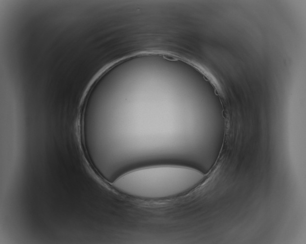X0000101221100200806270919