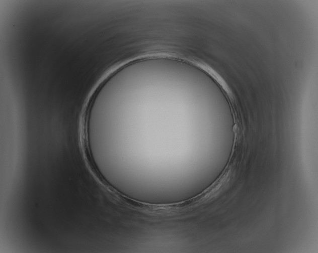 X0000101221101200806270919