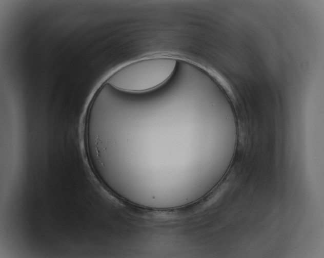 X0000101221102200806270919