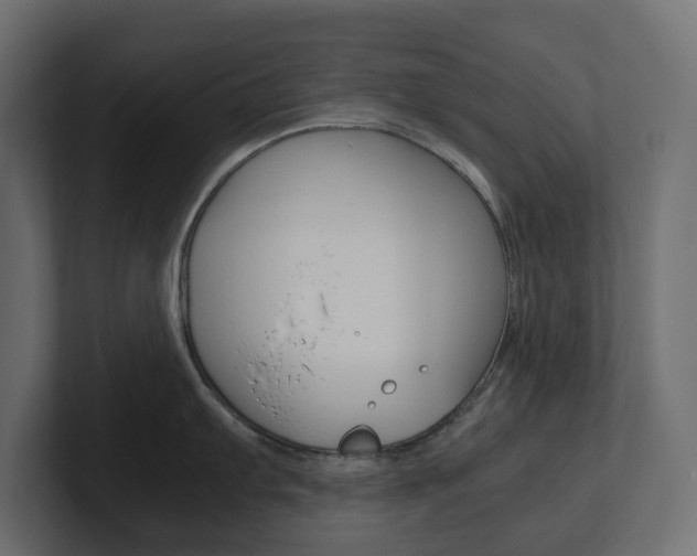 X0000101221103200806270919