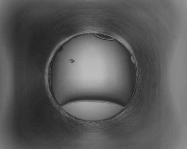 X0000101221104200806270919