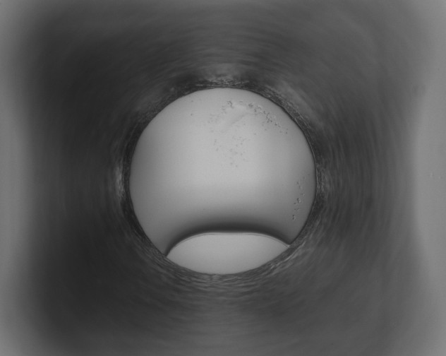 X0000101221106200806270919