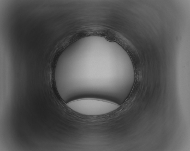 X0000101221108200806270919