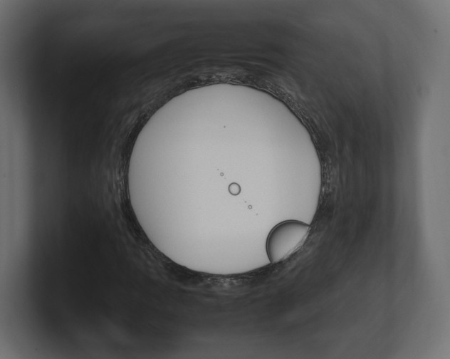 X0000101221109200806270919