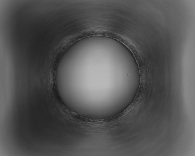 X0000101221110200806270919