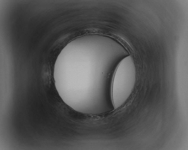 X0000101221111200806270919