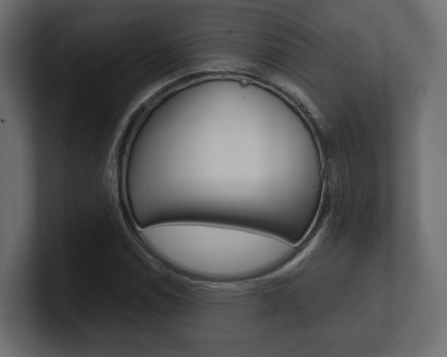 X0000101221114200806270919