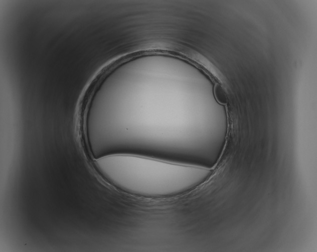 X0000101221116200806270919