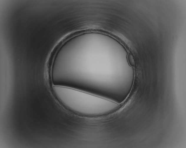 X0000101221118200806270919
