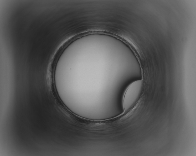 X0000101221119200806270919