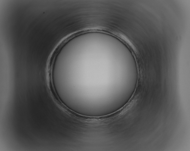 X0000101221124200806270919