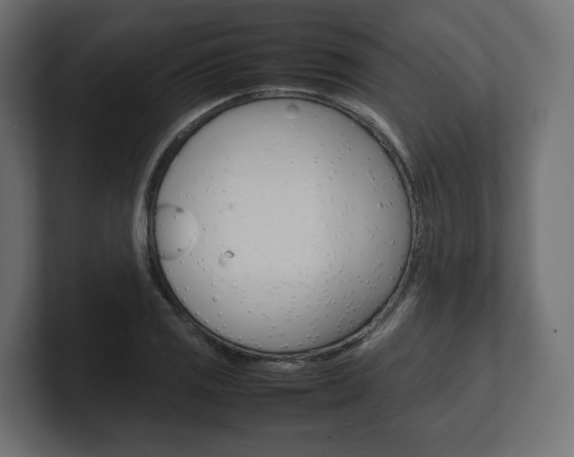 X0000101221125200806270919