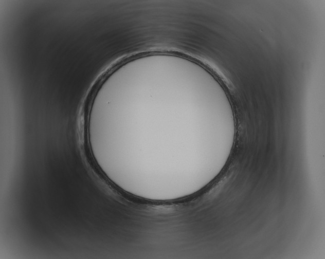 X0000101221126200806270919