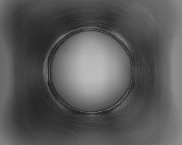 X0000101221127200806270919